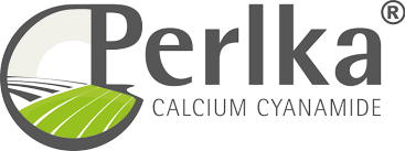 logo Perlka